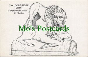 Northumberland Postcard-The Corbridge Lion,Corstopitum Museum,Corbridge RS27217