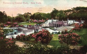 Vintage Postcard 1910's Terraces In Central Park New York Success Postal Card Co