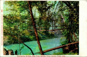 Vtg Postcard 1906 Swinging Bridge Big Tree Grove Santa Cruz, CA Undiv.