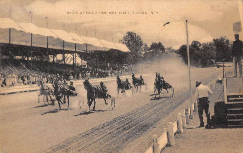 Goshen New York Good Time Mile Race Track Harness Racing Postcard AA24337