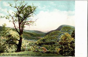 Boston & Albany Railroad Series, Berkshire Mts Near Chester MA UDB Postcard T33