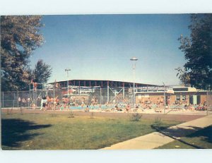 Pre-1980 SWIMMING POOL SCENE Medicine Hat Alberta AB AF2321