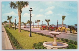 State View~Sightseeing Carriages St Augustine Florida~Vintage Postcard