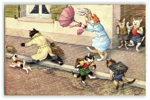 Mainzer Alfred Postcard Cats Dressed Anthropomorphic Windy Rain Storm Umbrella 