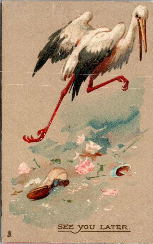 RARE - TUCK - VINTAGE - Stork - See you later  - EARLY FEMALE DOCTOR  POSTCARD