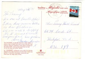 Cheeky Red Squirrel, Used 1991