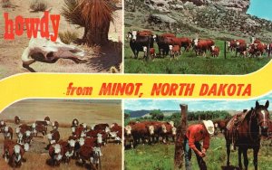 Vintage Postcard 1966 Greetings From Minot North Dakota Animal Farms Howdy