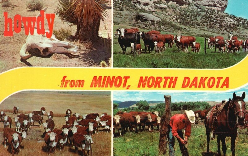 Vintage Postcard 1966 Greetings From Minot North Dakota Animal Farms Howdy