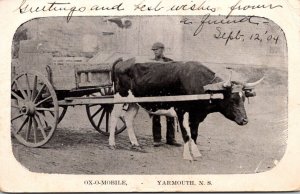 Canada Yarmouth Man and Ox-O-Mobile 1904