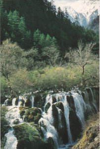 Glimpse At Jiuzhaigou Sichuan China