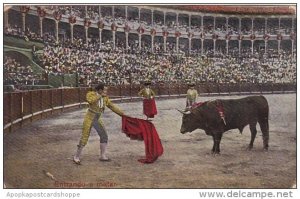 Corrida Bull Fight Entrado a Matar