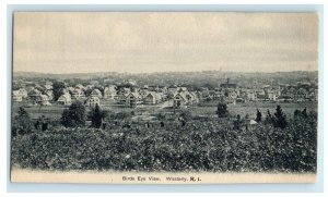 1905 Bird's Eye View, Westerly Rhode Island RI Antique Unposted Postcard