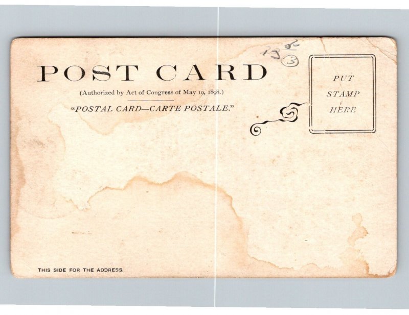 Mystic & Noank  Library   Connecticut   Postcard