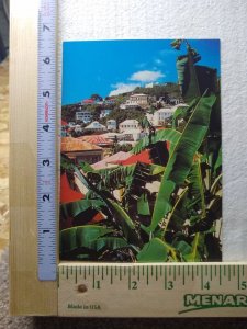 M-0297 Through the Bananas Charlotte Amalie Town St Thomas Virgin Islands USA