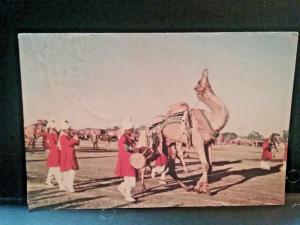 Posctard Dancing Camel at the National Horse & Cattle Show,  Lahore, Pakistan Z6