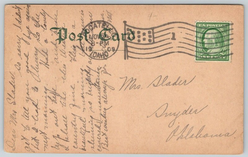 Pocatello Idaho~Bannock County Courthouse~Homes~Mrs Larsen~1909 CU Williams