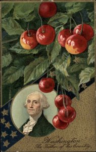 George Washington Patriotic Portrait Cherries Embossed Winsch c1910s Postcard