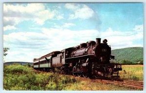 ONEONTA, NY ~ Train Engine #2 RIP VAN WINKLE FLYER - Delaware Otsego RR Postcard