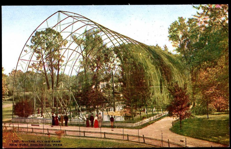 NEW YORK CITY Zoological Park The Flying Cage ~ DB