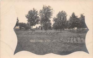 D19/ Hartford Michigan Mi Real Photo RPPC Postcard c1910 ELV Park Scene Gardens