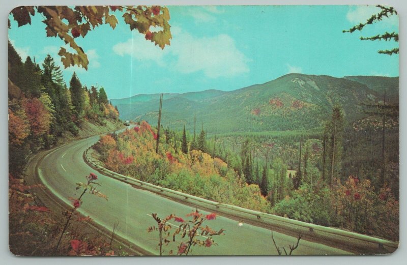 Coeur D'Alene Mining Region Idaho~Lookout Pass On Hwy 10~Vintage Postcard