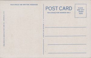 USA De Cabin Home In Dixie-Land Black Americana Postcard C025 