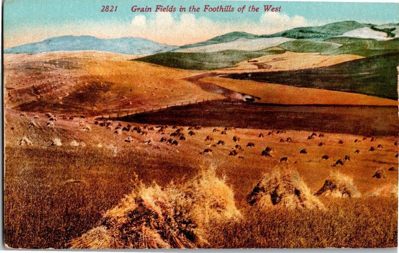 Grain Fields in the Foothills of the West Vintage Postcard N10