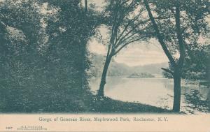 Island in Genesee River Gorge at Maplewood Park - Rochester, New York - UDB