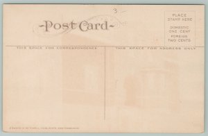 Bellingham Washington~Public Library~1910 Postcard