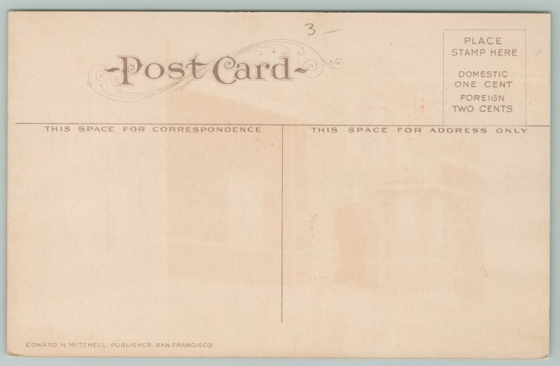 Bellingham Washington~Public Library~1910 Postcard