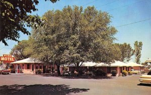 THE ELMS MOTEL Bishop, California Elm Street Roadside ca 1950s Vintage Postcard