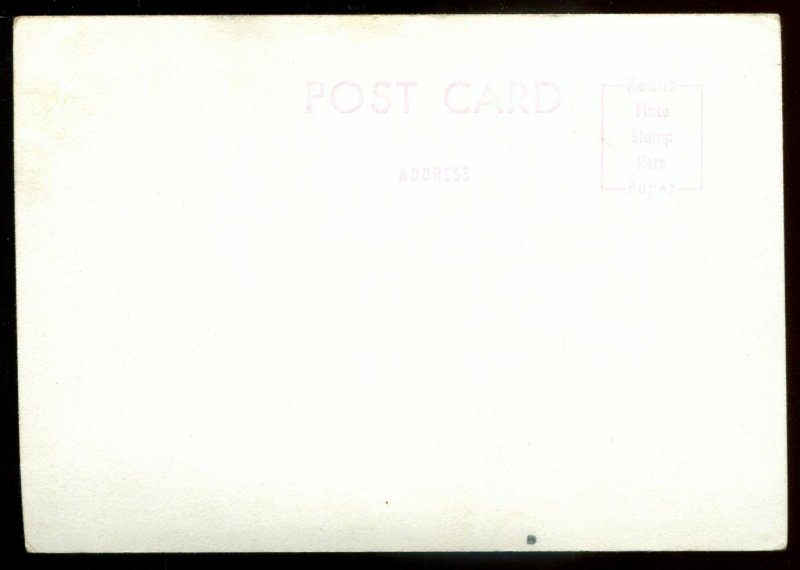 3865 - CALGARY Alberta 1950s Stampede. Rodeo. Real Photo Postcard
