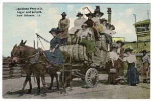 New Orleans, Louisiana Products, Sugar and Cotton