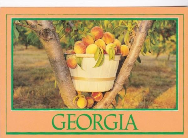 Georgia A Basket Of Peaches