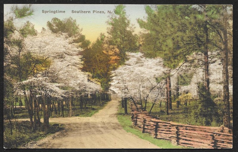 Springtime Southern Pines North Carolina Unused c1920s