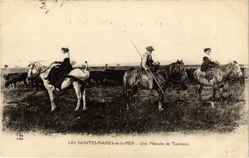 CPA LES Stes-MARIES-de-la-MER - Une manade de Taureau (213745)