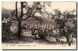 Old Postcard View Between Grasse Les Oliviers
