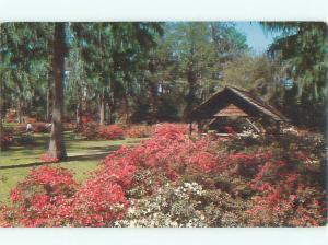 Pre-1980 GARDEN SCENE Orangeburg South Carolina SC AF6563