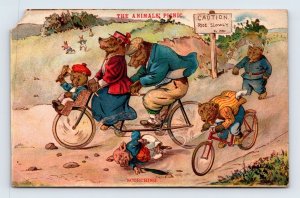 G H Thompson Animals Picnic Scorching Bicycles Anthropmorphic Bears Postcard M15