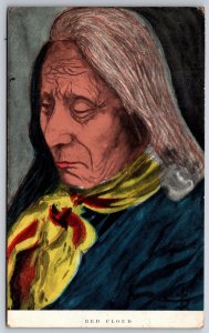 Native American Chief Red Cloud Oglala Lakota Indian UNP DB Postcard K7