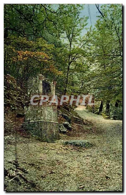 Saint-Maximin-la-Sainte-Baume - Hospitality and Grotto - St Zacharie - Old Po...