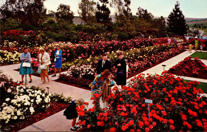 California Whittier Rose Hills Memorial Park Pageant Of Roses Garden