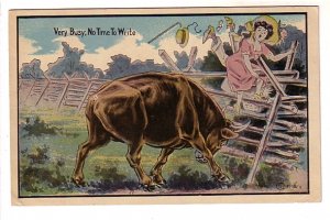 Very Busy, No TIme to Write, Bull Chasing Couple , Vintage Humour,