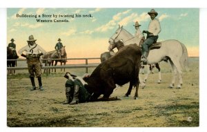 Bulldozing a Steer in Western Canada