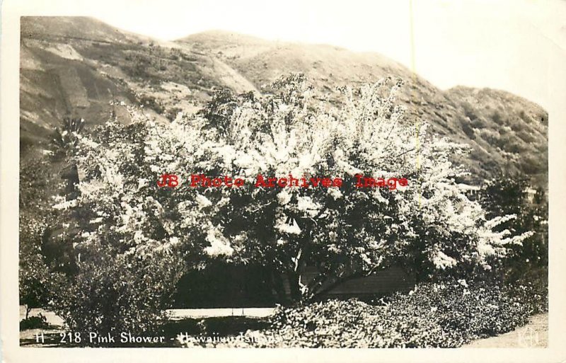 HI, Hawaii, RPPC, Hawaiian Islands, Pink Shower, Kodak Hawaii No H-218