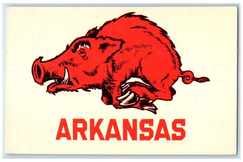 Fayetteville Arkansas AR Postcard Woo-O-O-O Pig Sooey Let's Go Hogs Logo c1960