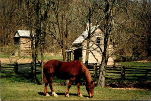 Tennesse TVA's Land Between The Lakes Work Horse At The Homeplace