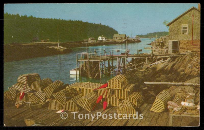 Maine Lobster Men's Wharf