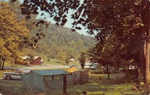 Greenup Kentucky Greenbo Lake State Park Camping Vintage Postcard K98177