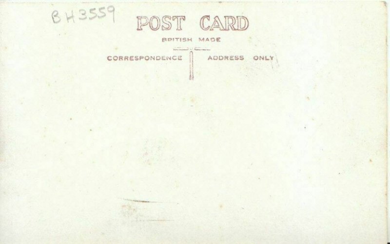 Buckinghamshire Postcard - The Spiders Web - Bekonscot - TZ11421